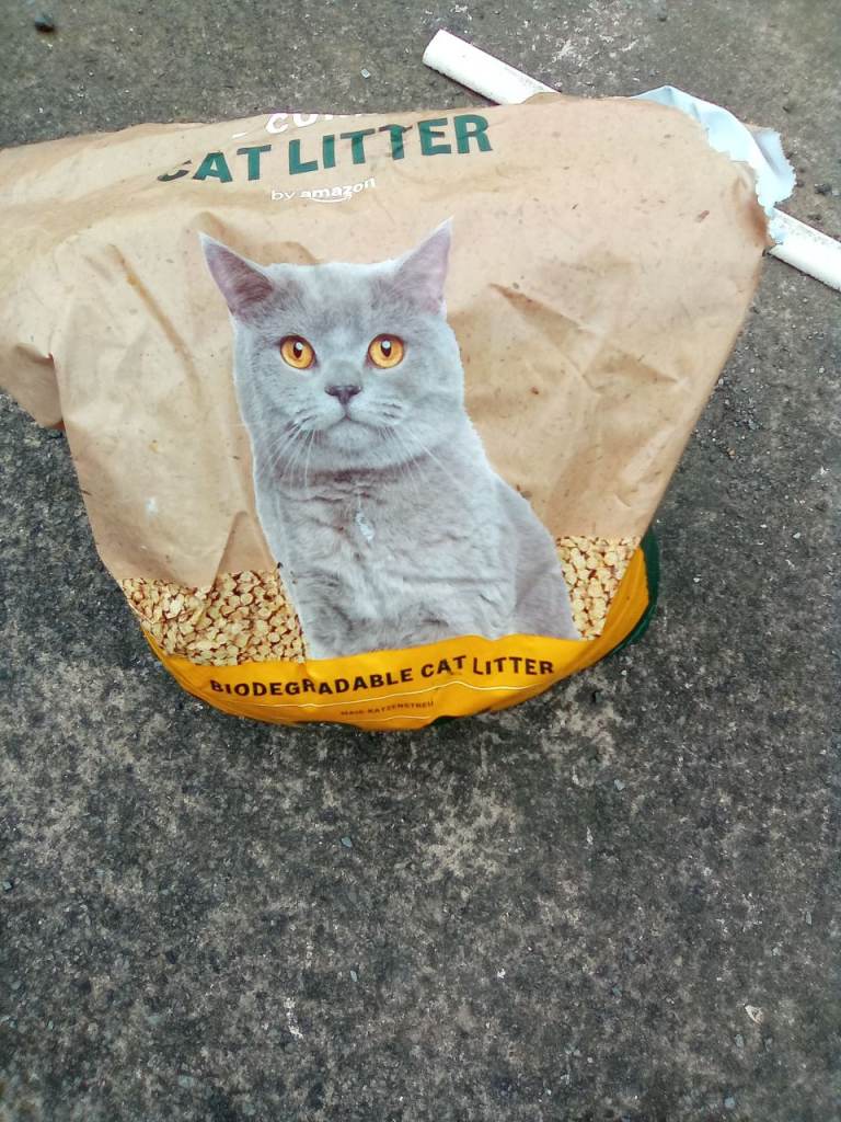 Cat Litter 