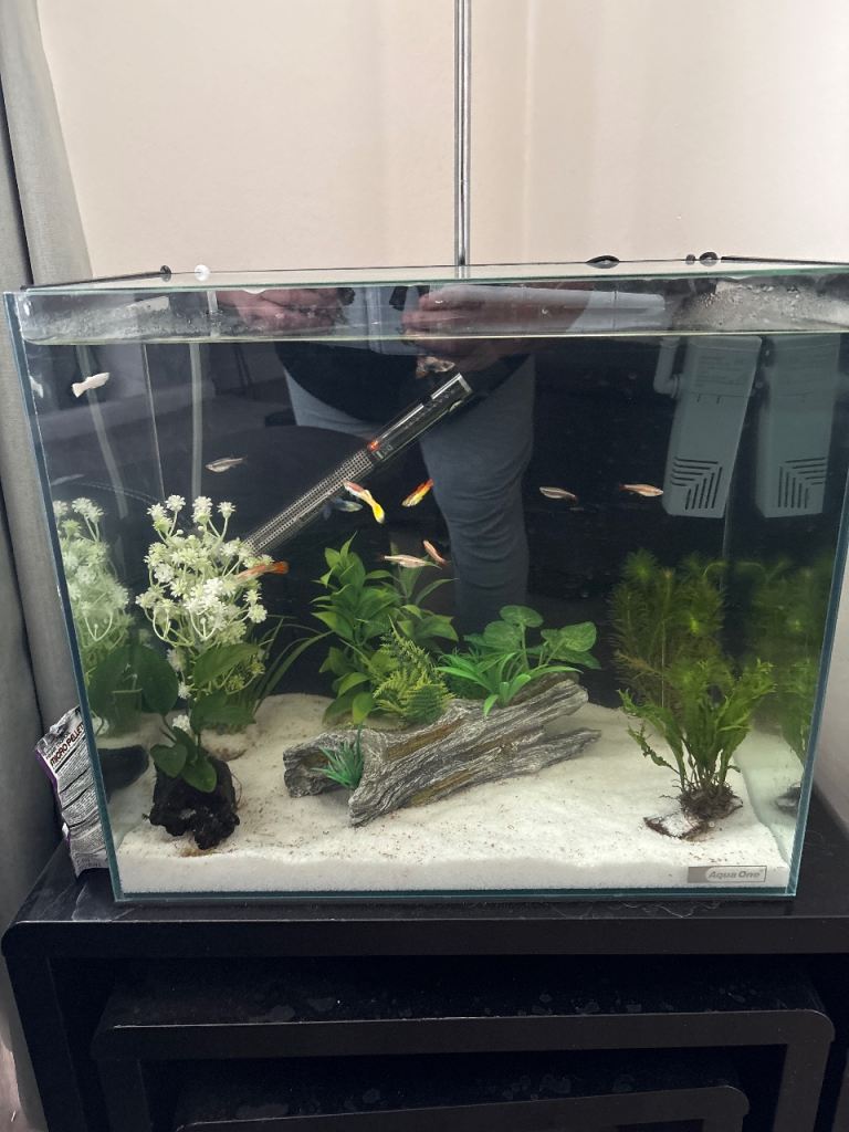 Fish tank Aqua One AquaLume Aquarium 45L Full set with fish and ornaments 