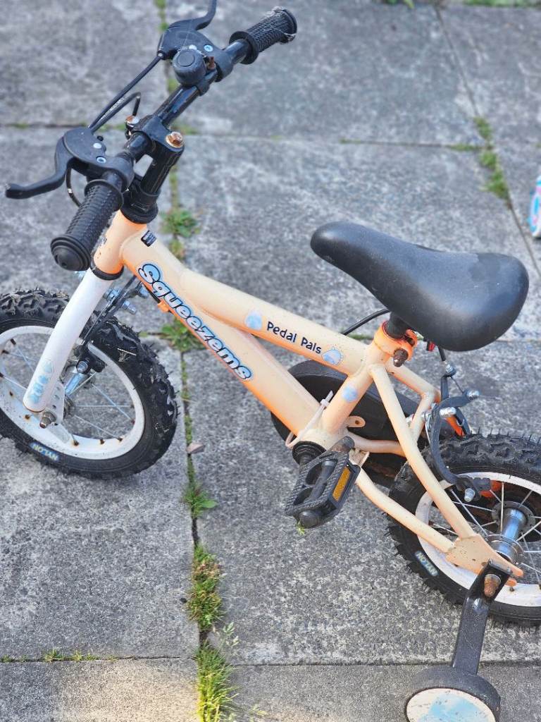 Pedal bike