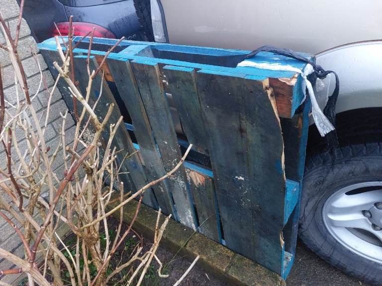 Blue pallet free to collect,  Danescourt 