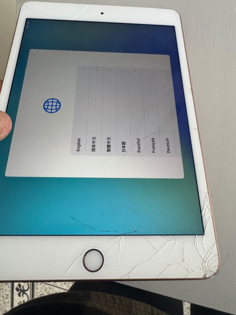 iPad mini 5th generation 