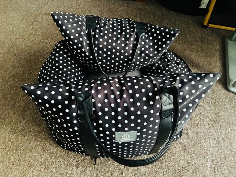 Luther Bennett car luxury dog  pod seat 