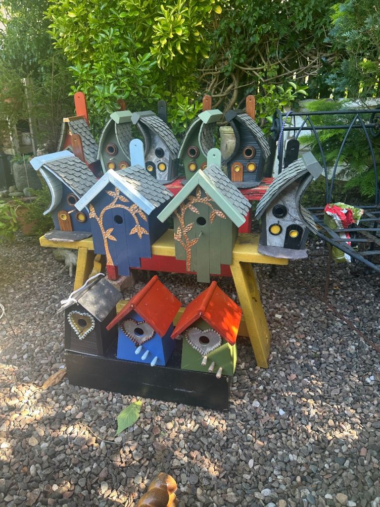 Bird boxes 