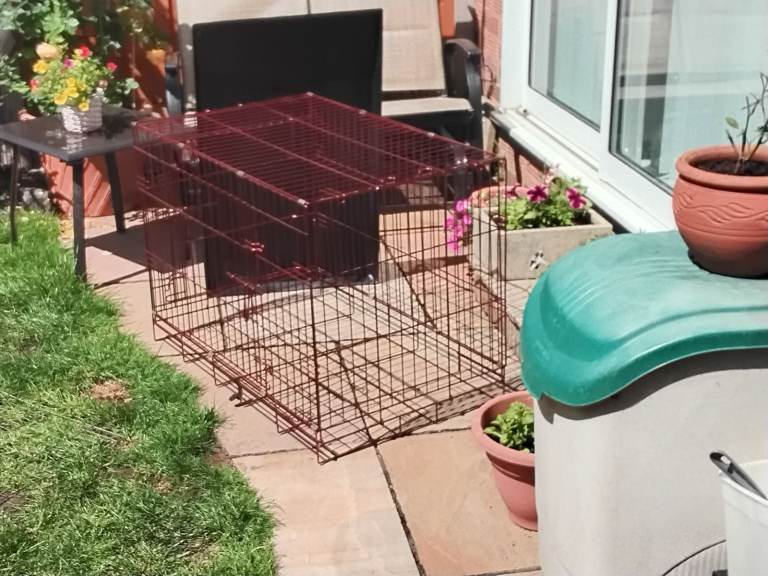 Dog Life Dog Crate Large With Two Doors