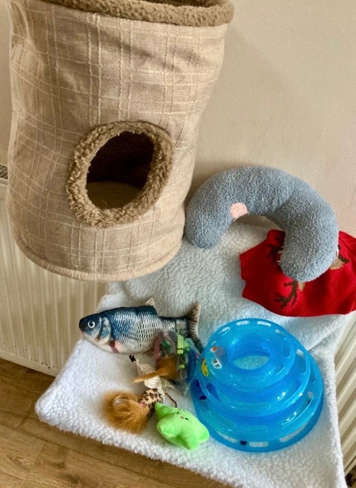 Pet / cat / toys accessories 