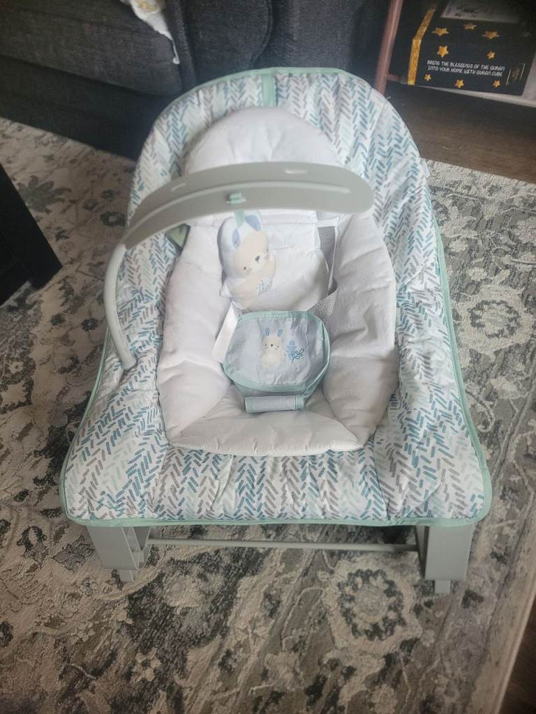 Baby Rocker / Bouncer - Like New