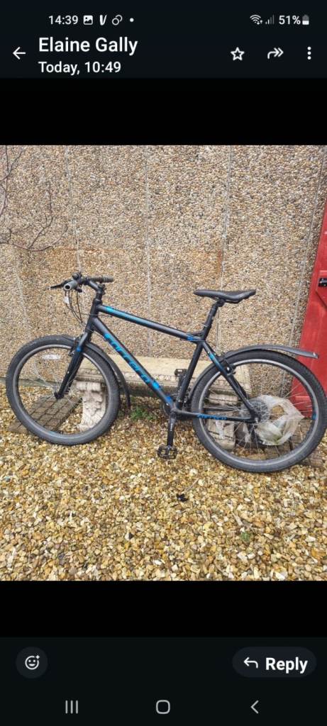 Large carrera push bike