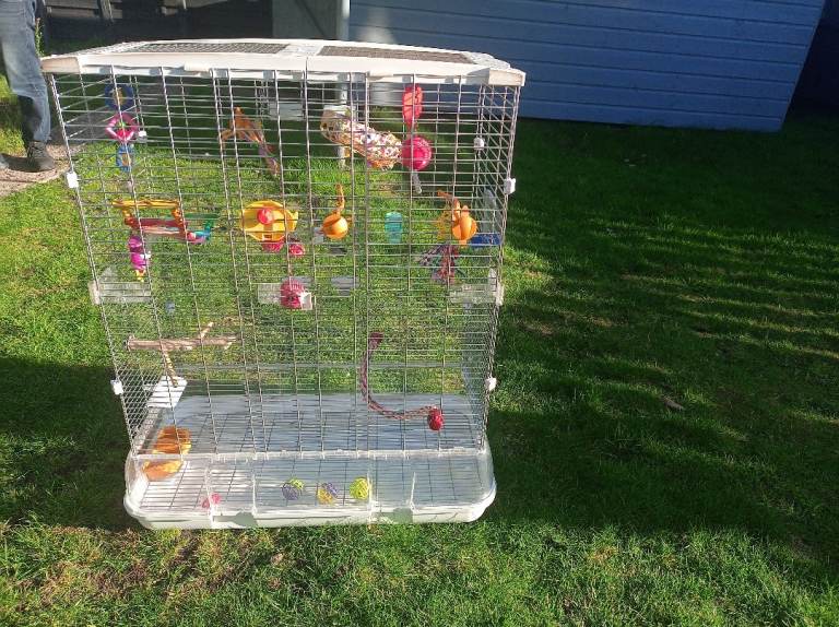 Budgie cage 