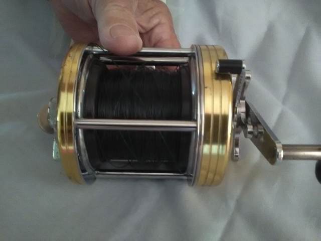 Daiwa multipying fishing Reel -Sealine 300. Gold and Silver very