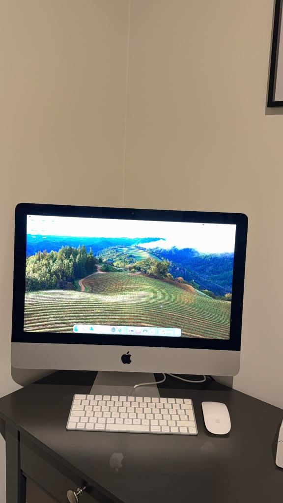 Apple iMac Retina 4K 21.5 inch 2019 computer 