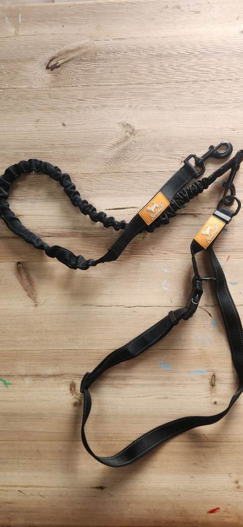 Barkwell hands free dog lead
