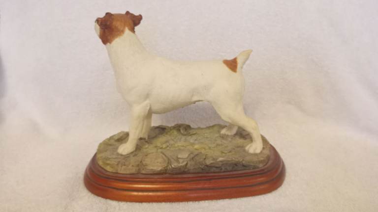Border fine arts Jack Russell 