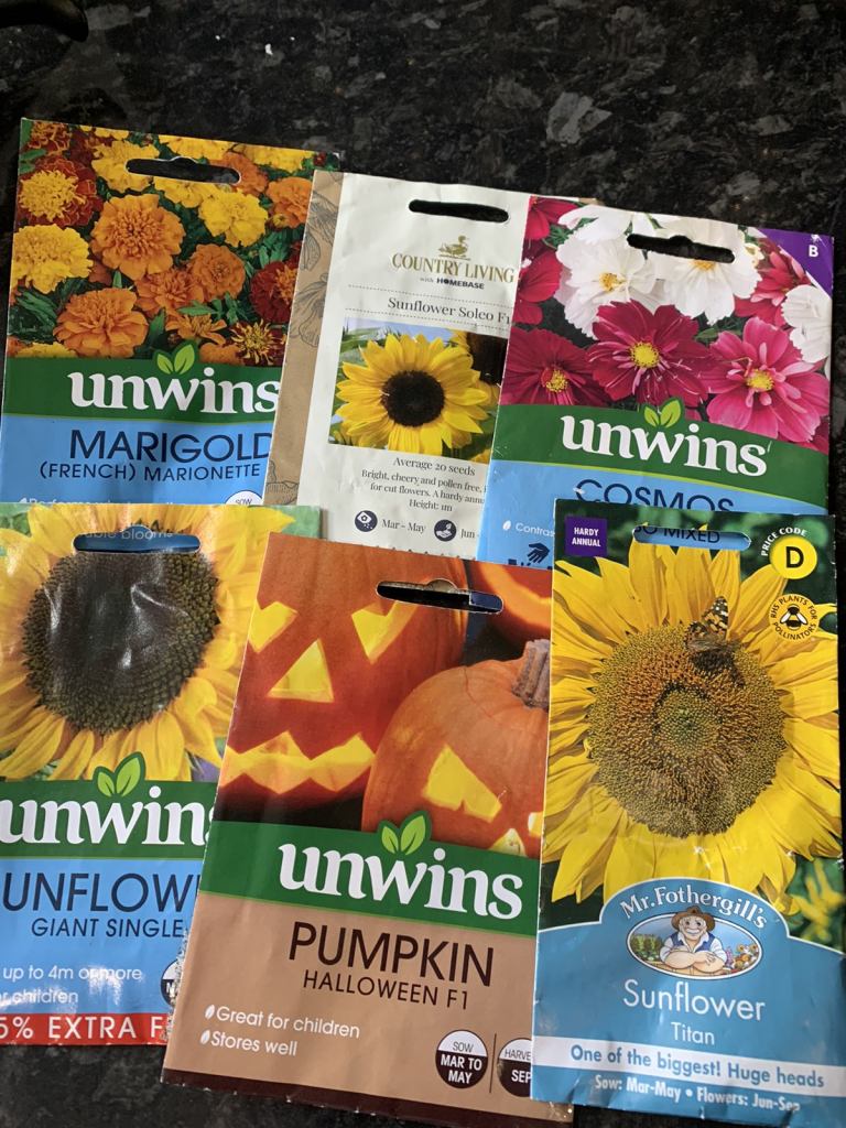 6 x flower seeds (new & sealed)