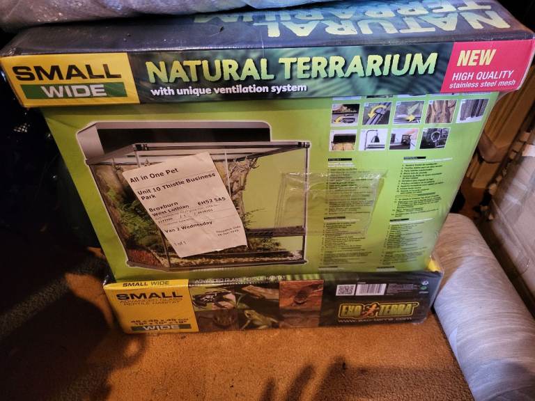 Natural terrarium 