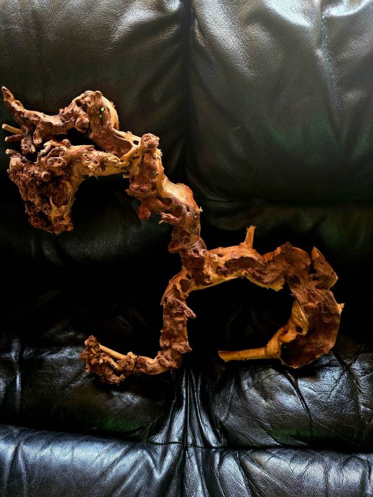Mopanni Aquarium wood 