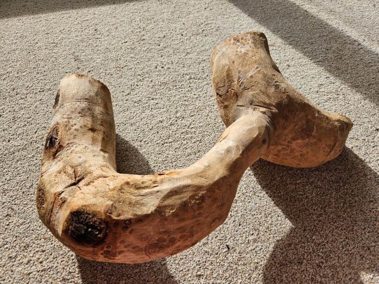 Treated Bamboo Root For Reptile Vivarium decor Aquarium Terrarium Wood 