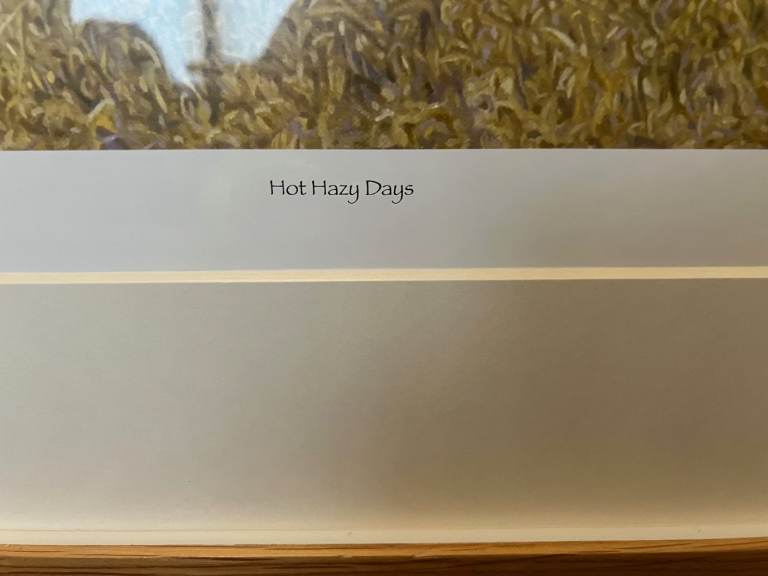 Large limited edition signed framed wildlife print picture