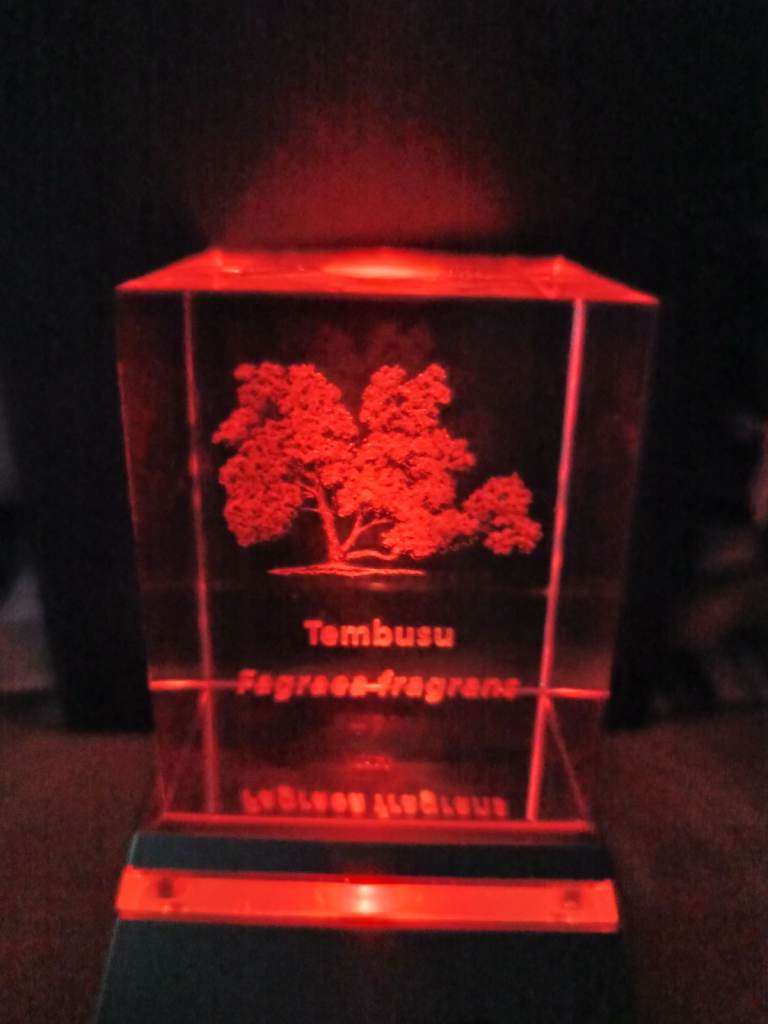 Paper Weight Tembusu Fagraea Fragrans tree (native to Singapore) with pedestal