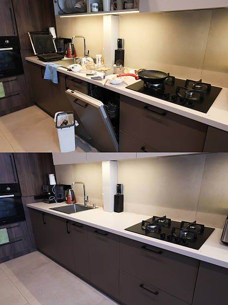 Professional domestic cleaner