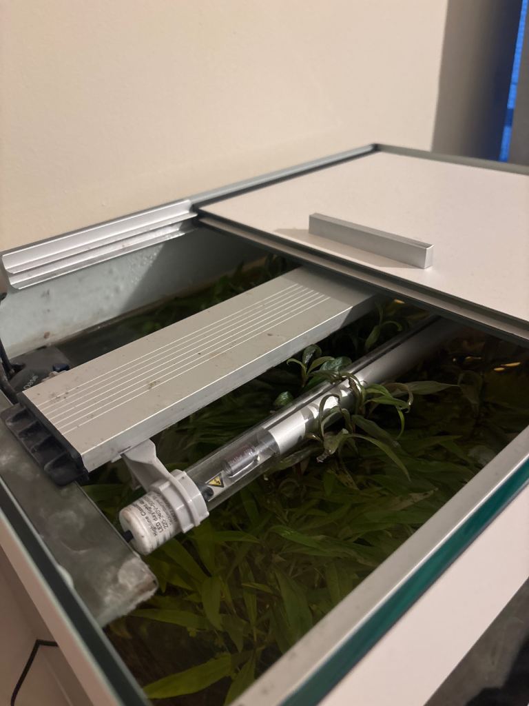 Aquarium Fish Tank EVERYTHING INCLUDED