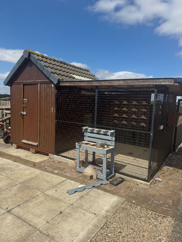 Pidgeon Shed and Aviary 