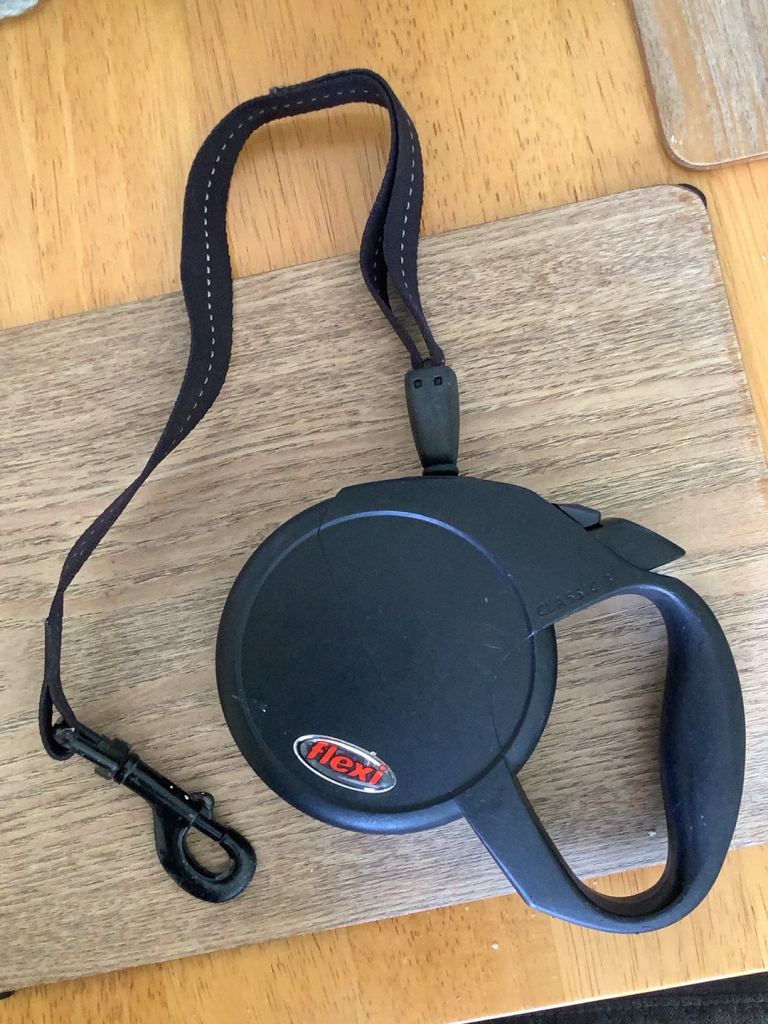 Flexi 5M retractable dog lead