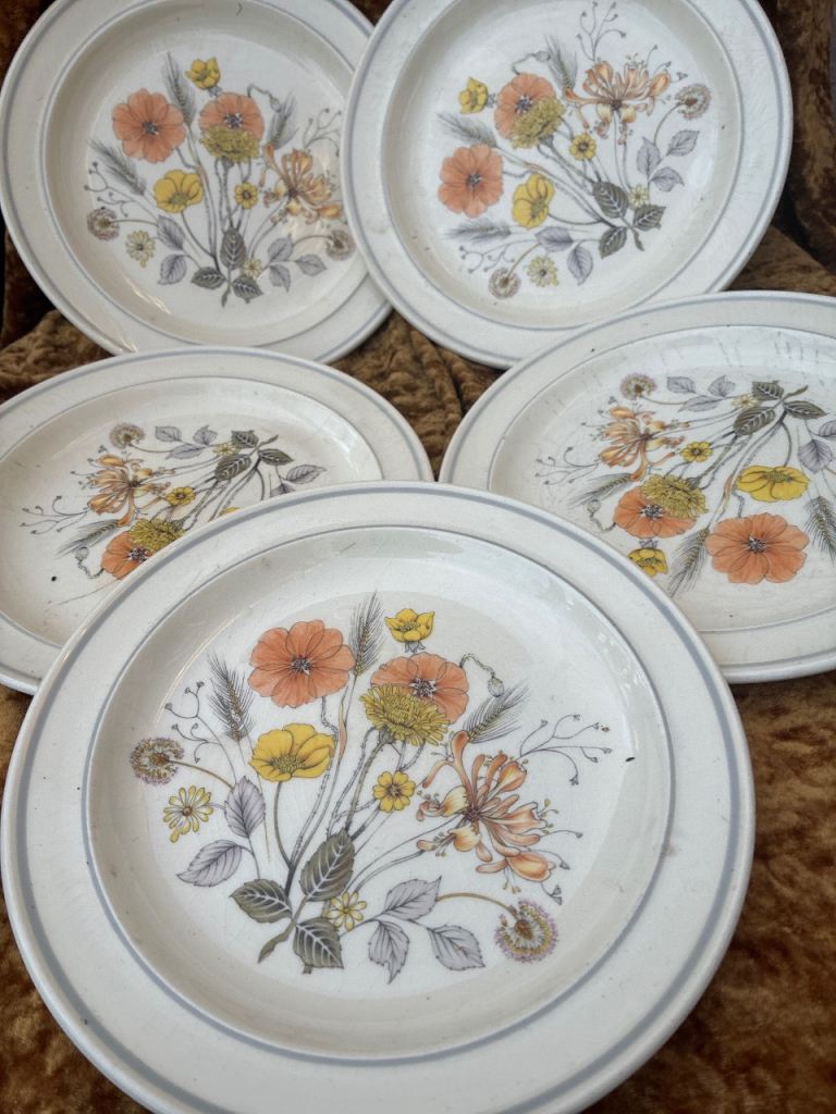 Vintage Floral Dinner Plates - Set of 5, Good Condition