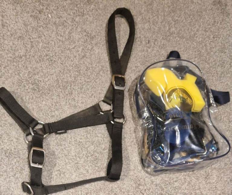 Horse Grooming Kit & Headcollar– Good Condition