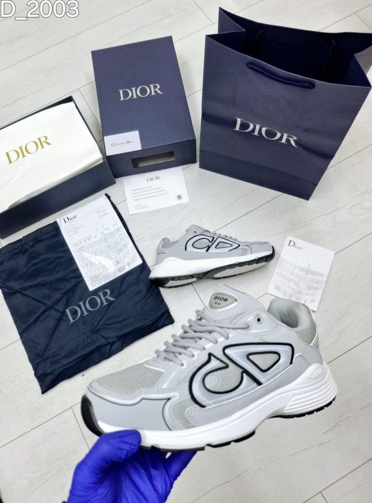 Dior B30 Sneakers  grey