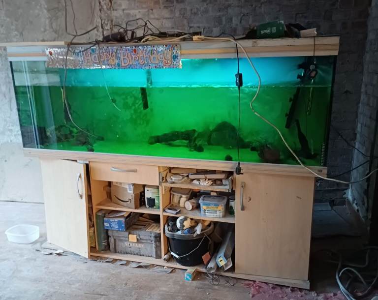Large fish tank 