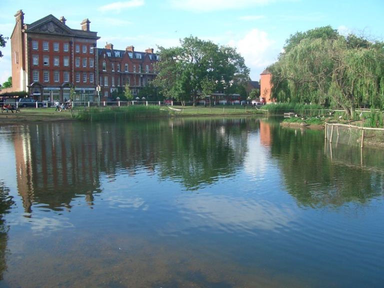 Single room to rent short term