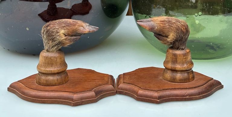 VINTAGE FRENCH TAXIDERMY WILD BOAR HOOVES COAT HOOKS, SANGLIER HOOF HUNTING RACK - WILL POST!