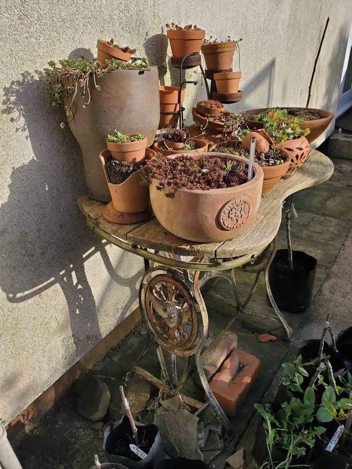 Ornate Garden Feature Vintage Sewing Table Treadle