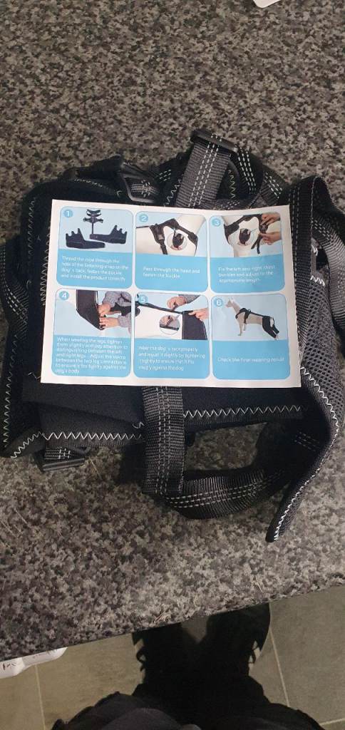 Dog arthritic support harness