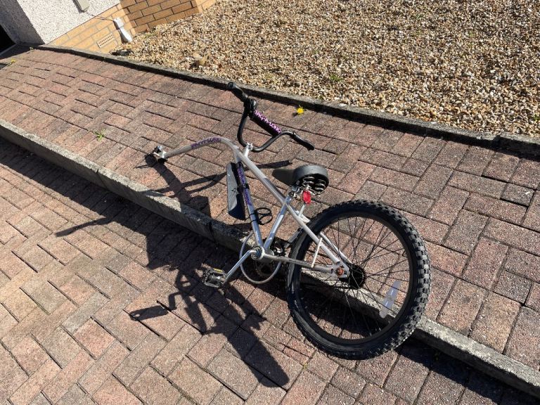 Bike trailer tag along