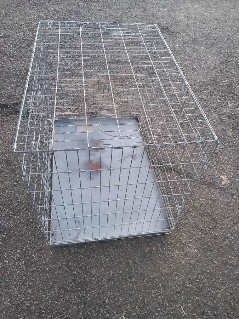 XL Pet crate