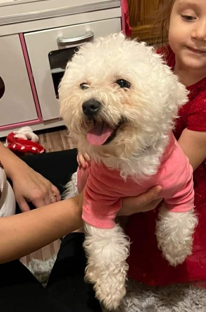     Lovely Dog Barbie Looking for a New Home 🐾