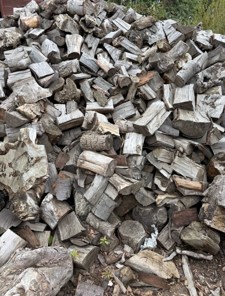 Fully seasoned hard wood logs 
