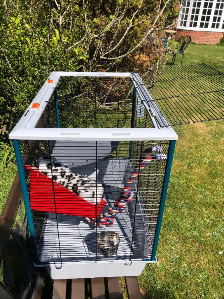 Sugar Glider cage and equipment 