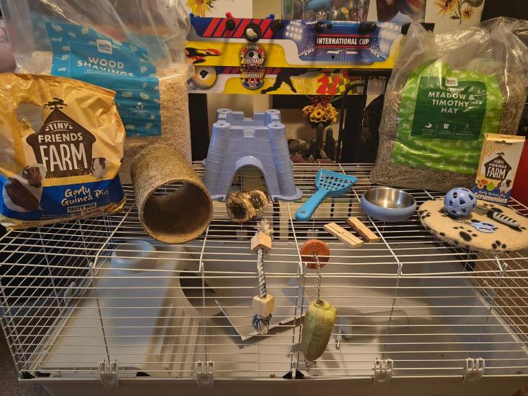 Guinea pig cage and accessories 