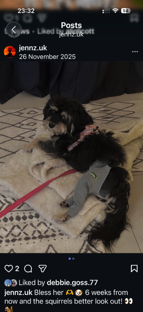 Lick Sleeve, to stop a dog from licking, scratching etc after surgery. Best on the market.