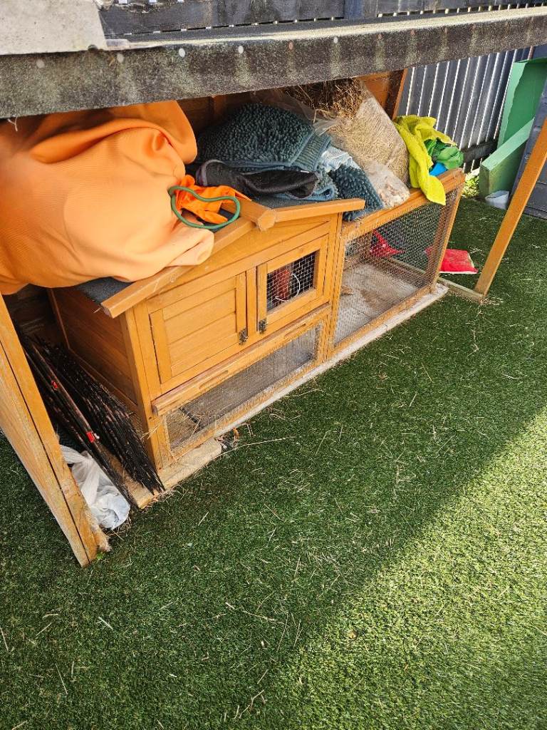 Free guinea pig / rabbit hutch