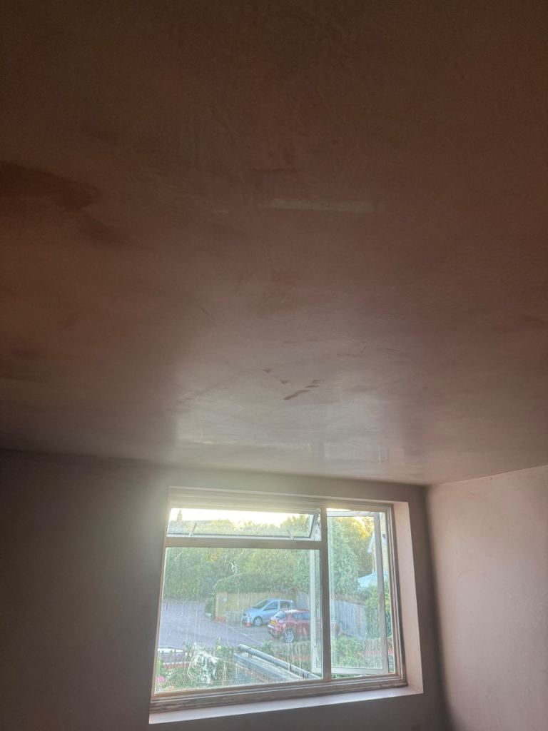 Plaster 