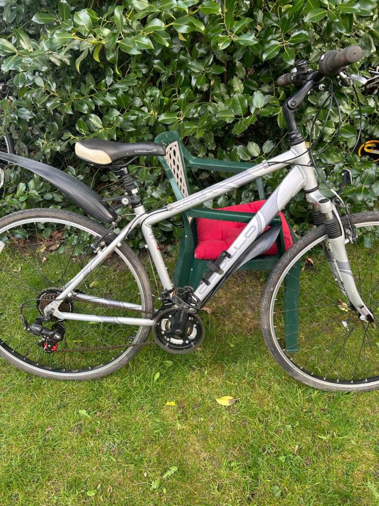 Apollo Cafe adult mountain bike 