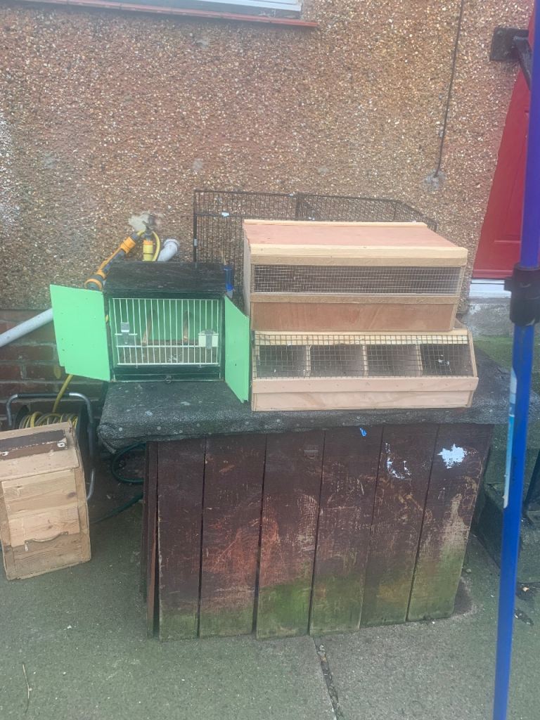 Bird breeding cage and carrying cages 