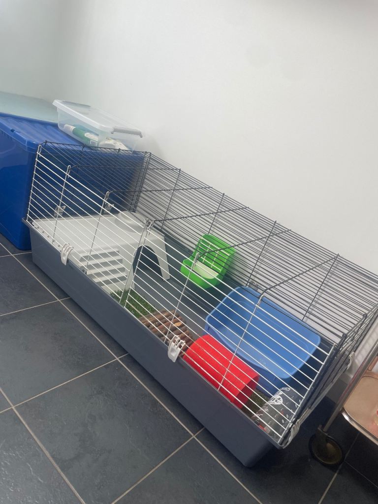 Rabbit/guinea pig cage and accessories 
