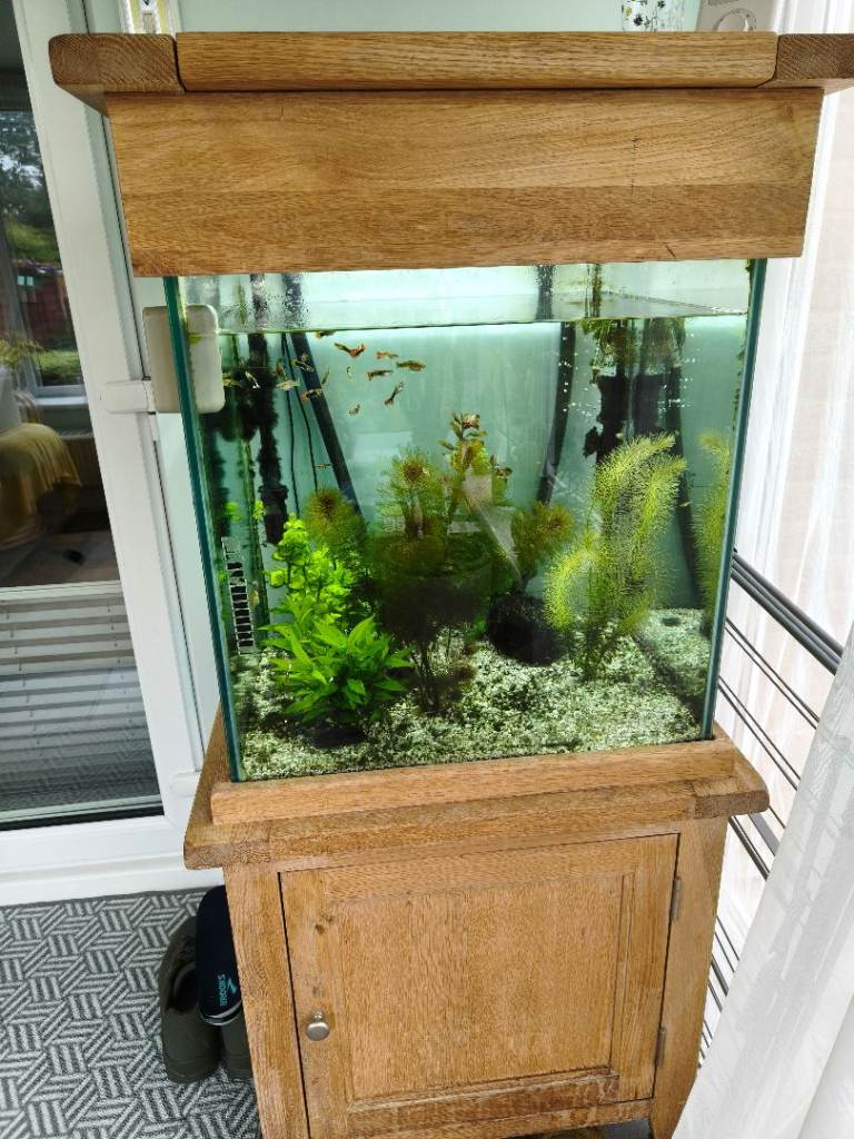 Oak fishtank and stand