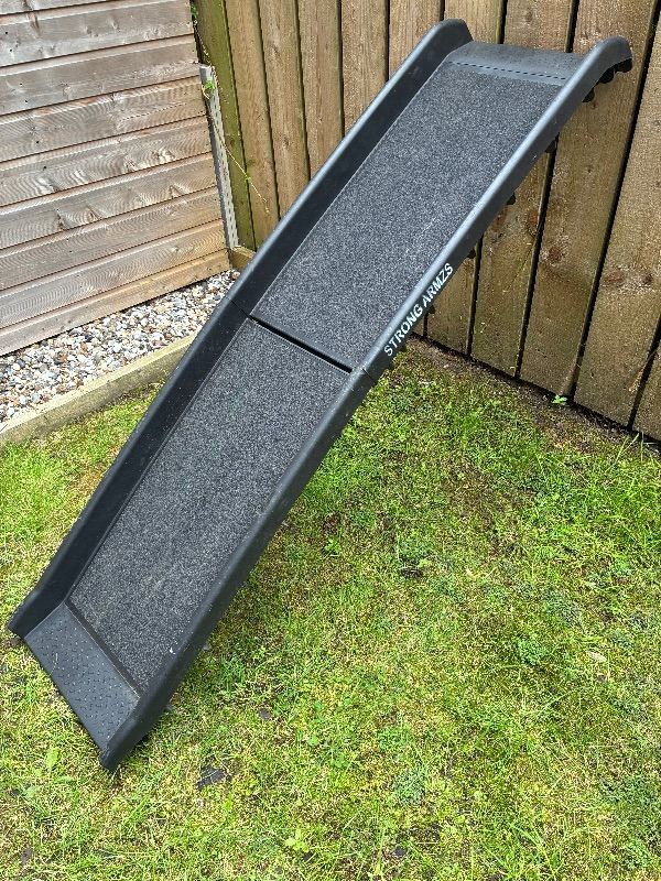 Dog ramp for car