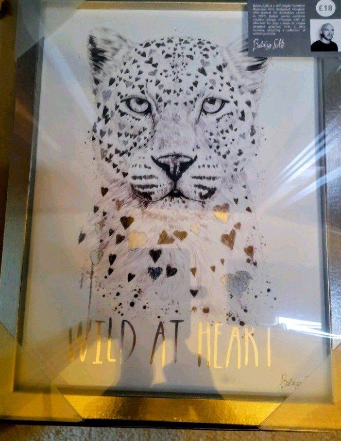 NEXT - 2X (BNIB) Leppard pictures in SILVER FRAMERrp£18 ea