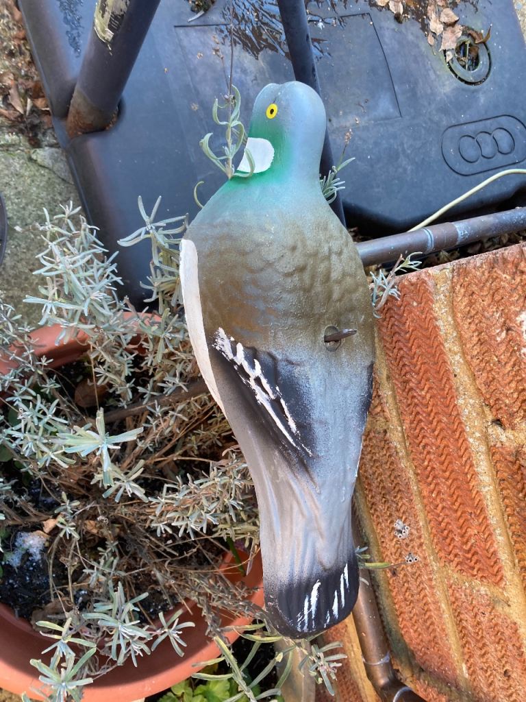 Pigeon decoys
